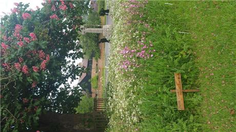  - Wildflower Competition Success